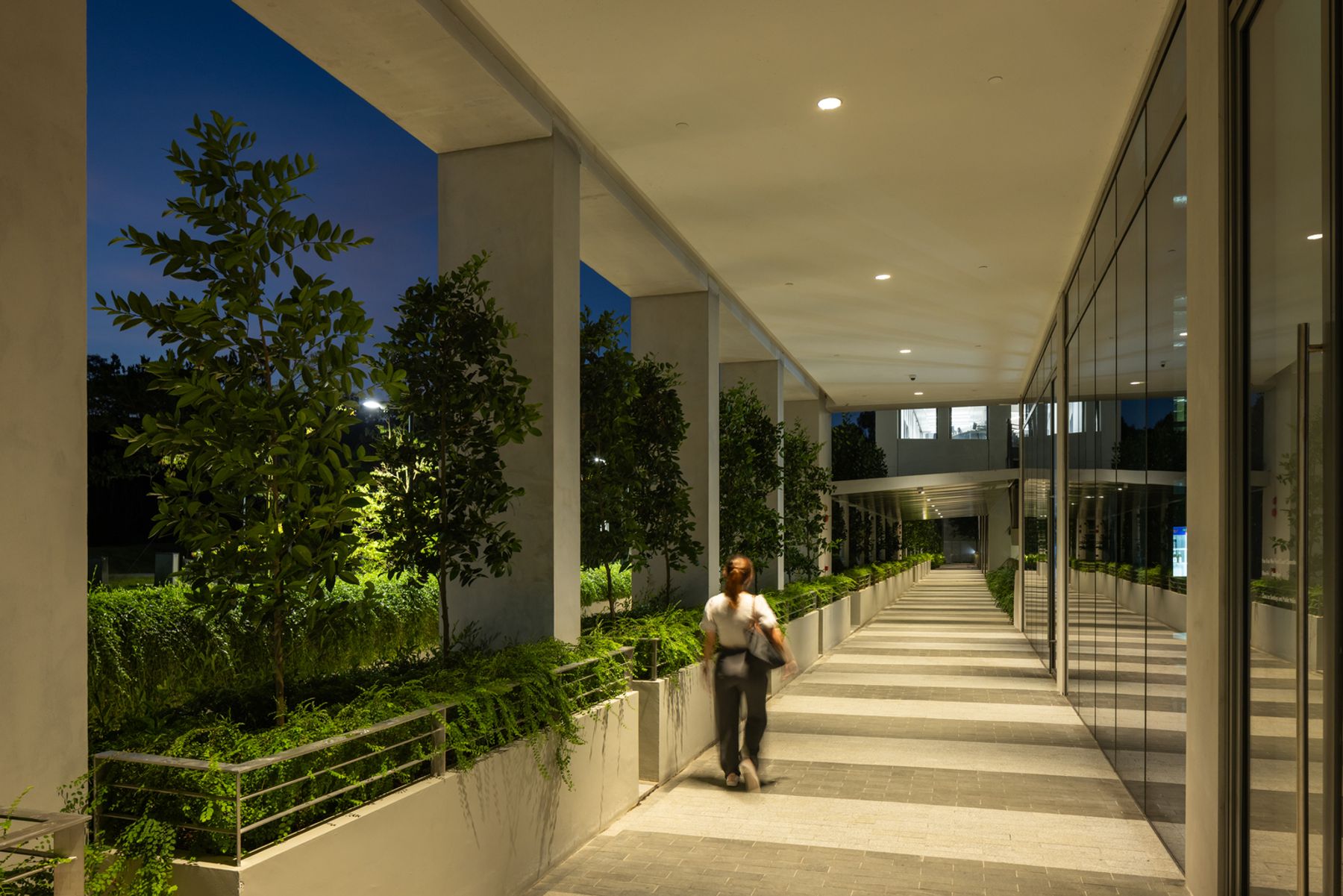 Surbana Campus, Singapore. Architecture: Safdie Architects / David Oktavianus / Ivy Koh / Ahmad Zaky Diani / Laura Tan. Interior design: B+H Architects Pte. Ltd. Lighting design: Nipek Pte. Ltd., Singapore. Photography: Finbarr Fallon.