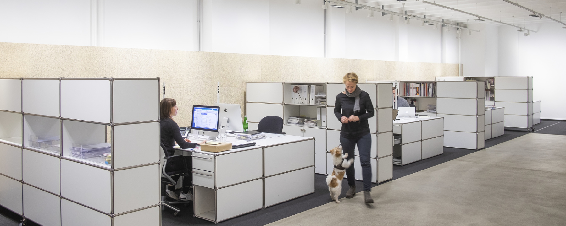 Flexible office layout with ERCO Jilly downlights on track system for modern workspaces.