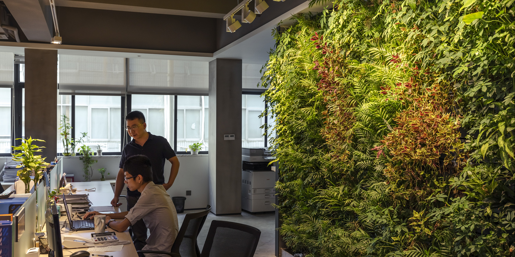Illuminated green wall in an office, promoting well-being and indoor climate, ERCO lighting.