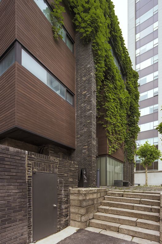 Arario Gallery Seouls facade featuring ivy and ERCO lighting for white cube exhibitions.