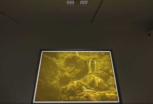 Illuminated artwork in Arario Gallery, Seoul, highlighted by ERCO spotlights.