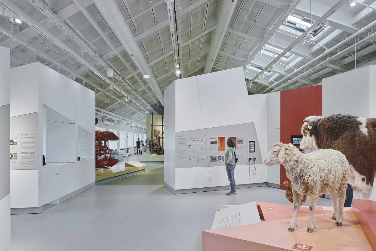 ERCO LED lighting at Deutsches Museum, Munich, showcasing exhibits under uniform illumination.