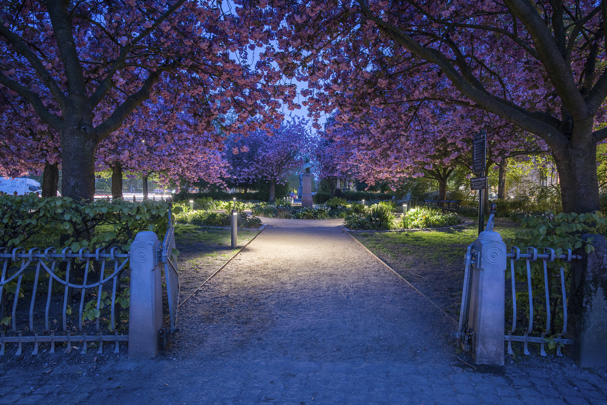 ERCO Castor bollard luminaires provide safe path lighting in Digterlunden Park, Copenhagen, at night.