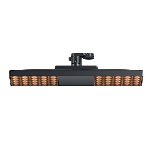 ERCO LED downlight for track, providing flexible office lighting.