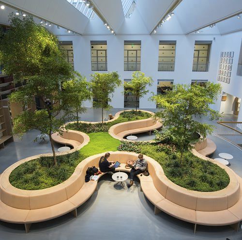 Indoor space with organic seating and trees, illuminated by durable ERCO luminaires for long-life.