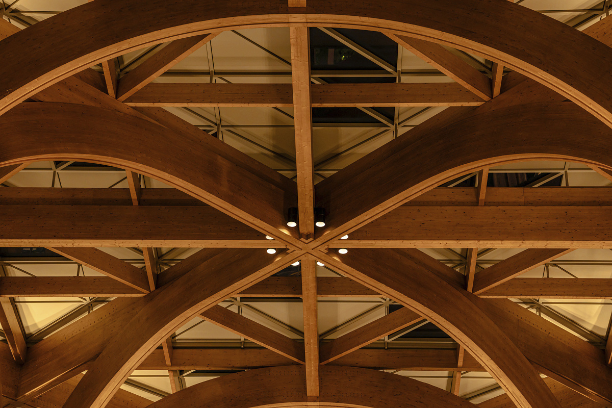 Wooden canopy with ERCO lighting at Geneo, Singapore Science Park.