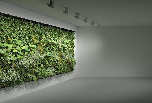 ERCO green wall lighting with Parscan spotlights promoting healthy plant growth indoors.