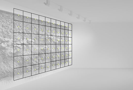 Schematic of an illuminated green wall, showing lighting design with ERCO luminaires.