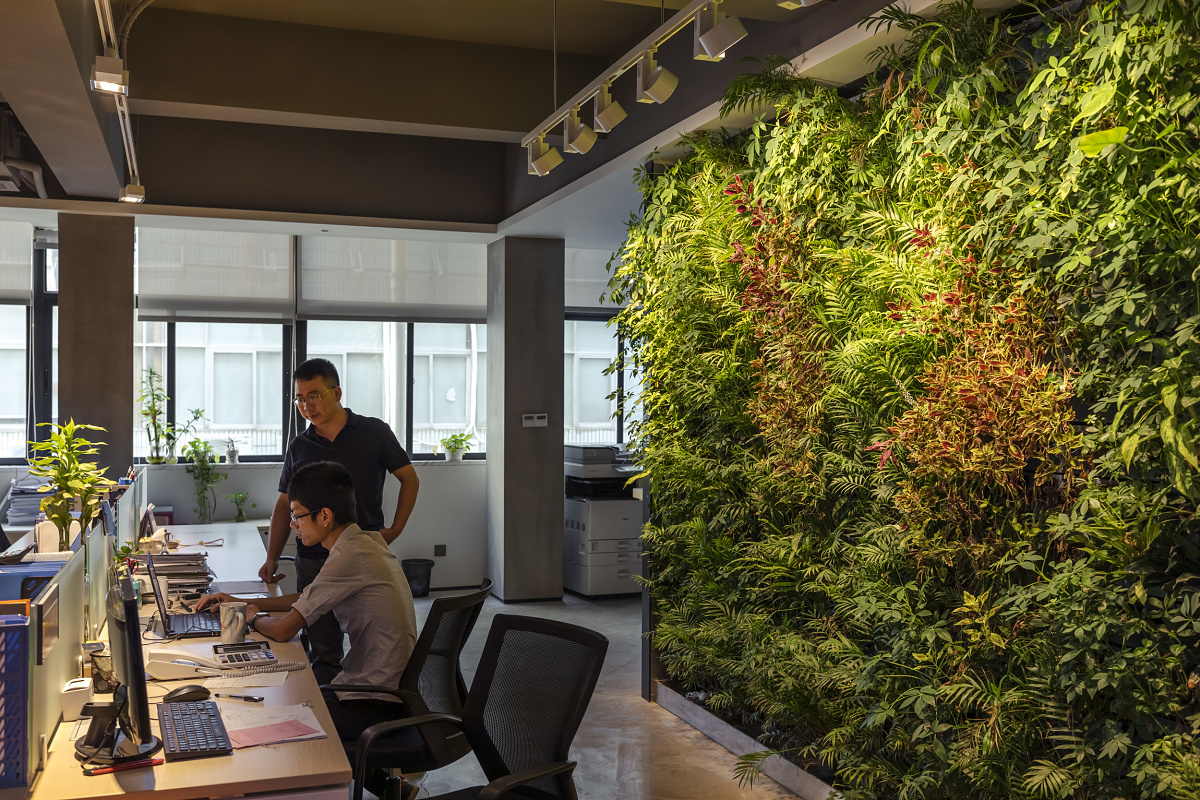 Illuminated green wall in an office, enhancing the indoor climate, optimally lit with ERCO lighting solutions.