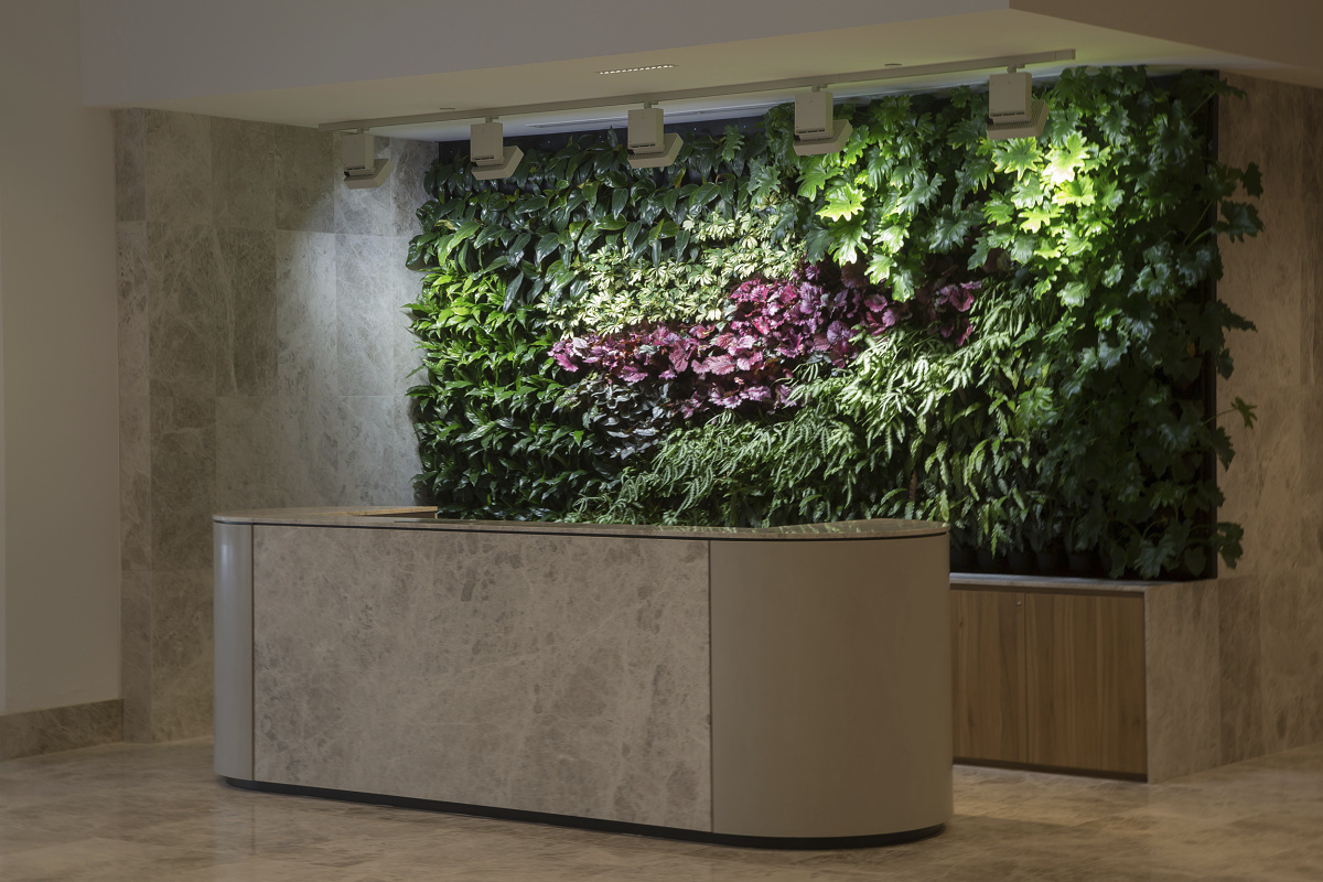 Illuminated green wall with ERCO lighting, promoting plant growth and indoor climate.