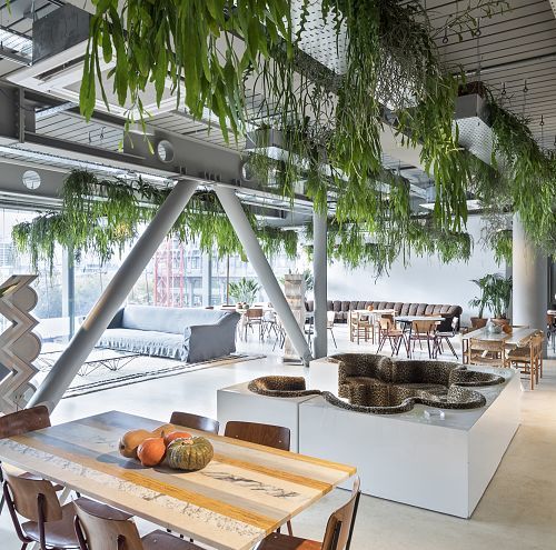 Office space featuring green wall lighting, enhancing well-being and indoor climate.