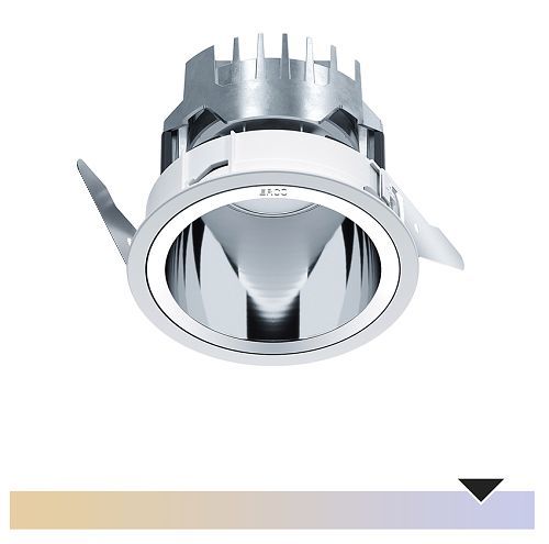 ERCO Gimbal recessed luminaire for optimal green wall lighting.