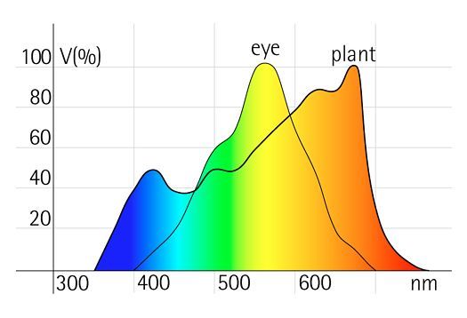 Light spectrum graph comparing plant growth needs versus human eye sensitivity.