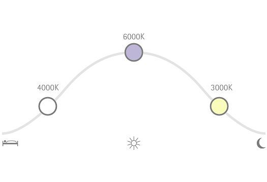 ERCO Human Centric Lighting: Correlated color temperature diagram for dynamic light control.