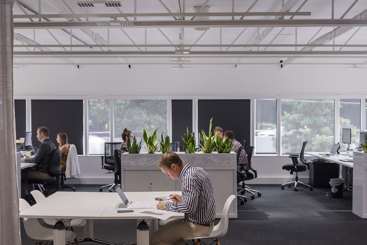 Flexible ERCO track lighting system illuminating a modern open-plan office space.