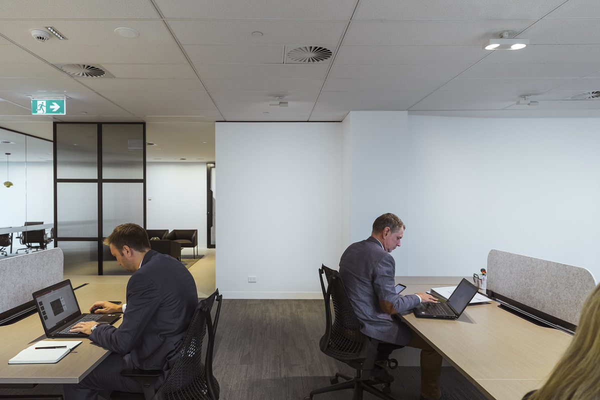 Flexible office lighting with ERCO Jilly downlights on a track system for modern workspaces.