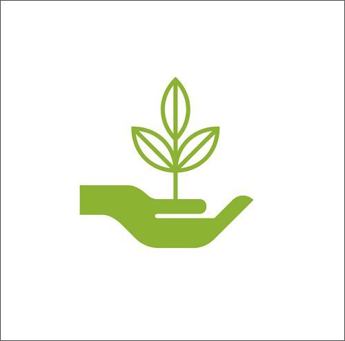 Green hand holding plant, symbolising sustainable gallery lighting.