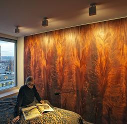 ERCO spotlights illuminate an accent wall in a living space, creating a cozy reading nook.