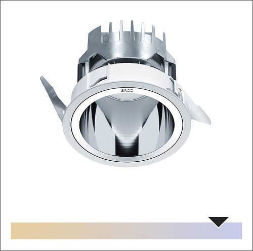 ERCO Tesis ground-recessed luminaire for accent lighting outdoors.