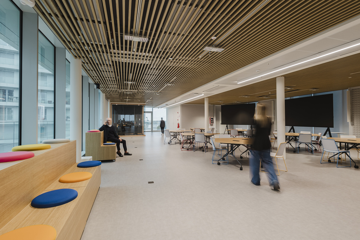 Large open-plan office with a slatted timber ceiling, expansive glazing, coloured seating steps and flexibly arranged tables. Several people are moving through the room or seated near the windows.