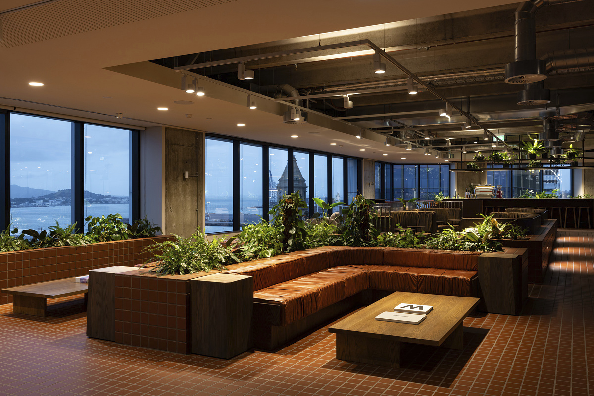ERCO Iku downlights and Optec spotlights illuminate a modern Auckland office space.