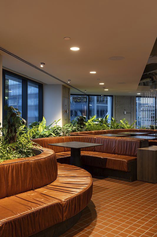 Lounge area with ERCO downlights at Precinct Properties, Auckland.