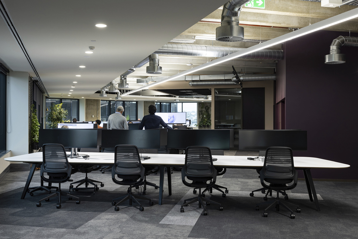 ERCO lighting with Iku downlights and Optec spotlights in Auckland office space.