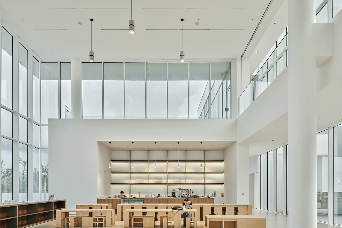 Sorol Art Museums cafe featuring Atrium pendant luminaires and Gimbal recessed spotlights for general lighting.