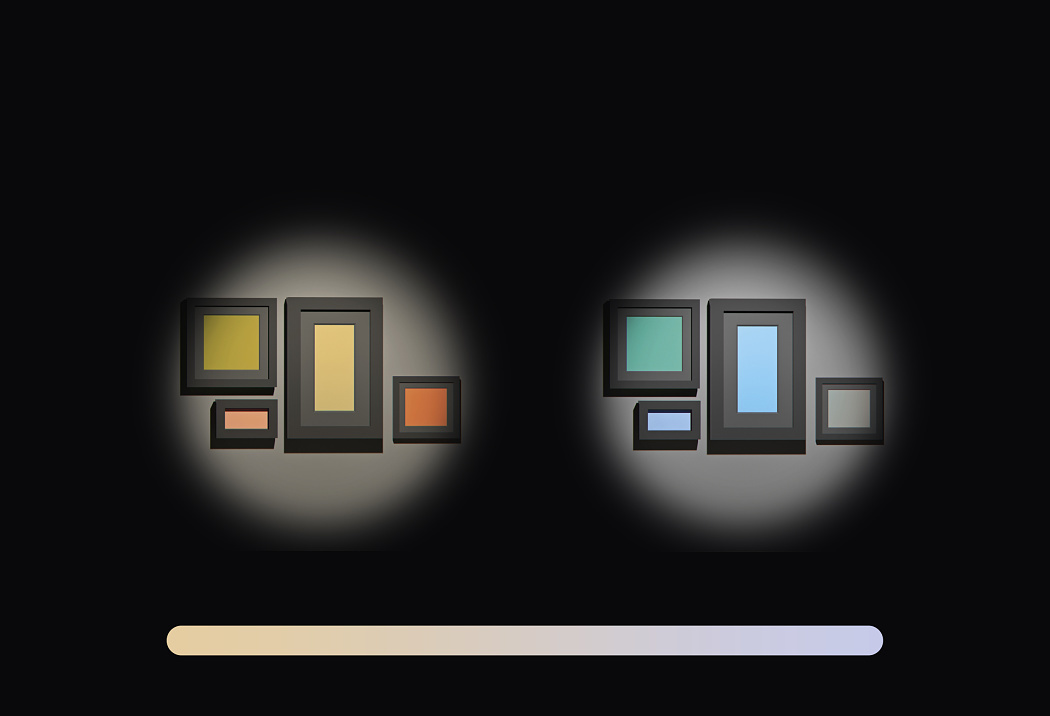ERCO LED spotlights on track illuminate artwork with precise accent lighting in galleries.