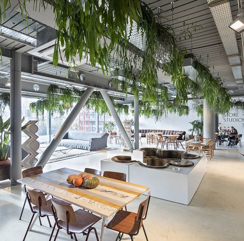 Open office with LED lighting after the T5/T8 lamp ban, promoting energy-efficient illumination.