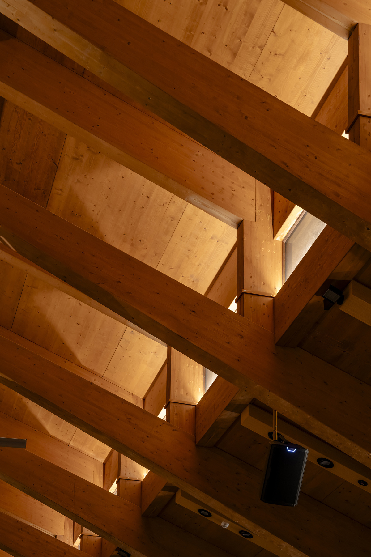 Wooden ceiling with ERCO lighting at The Guesthouse, Japanese Garden Singapore. Sustainable design.