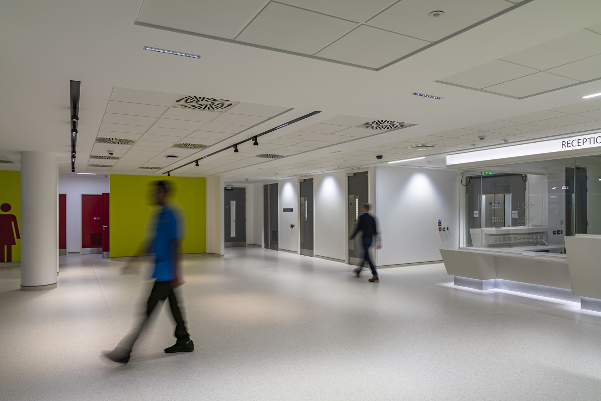 ERCO Casambi Bluetooth-enabled luminaires in a modern office for wireless control.