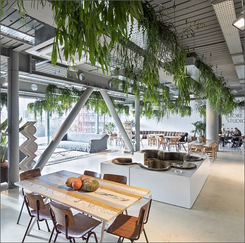 Open office space with plants and ERCO lighting for a comfortable work environment.