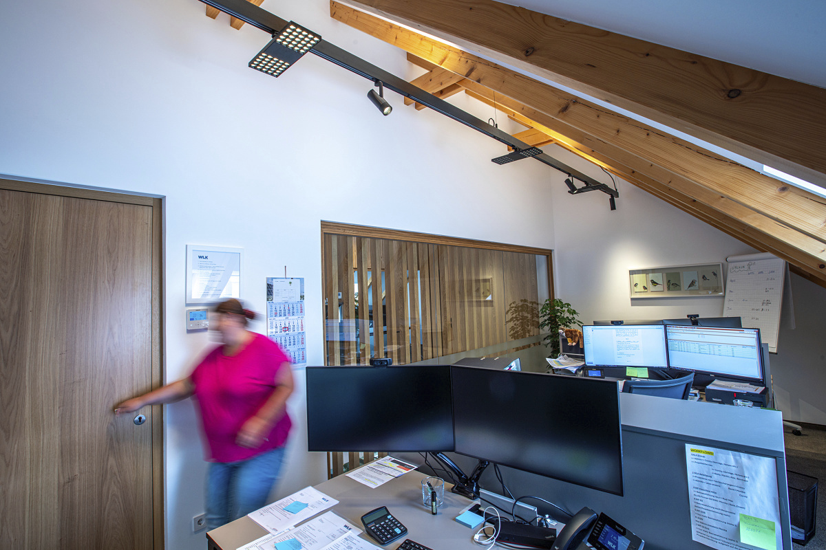 ERCO Bürobeleuchtung mit Jilly Downlights und Uniscan Strahlern für WLK Energy GmbH.