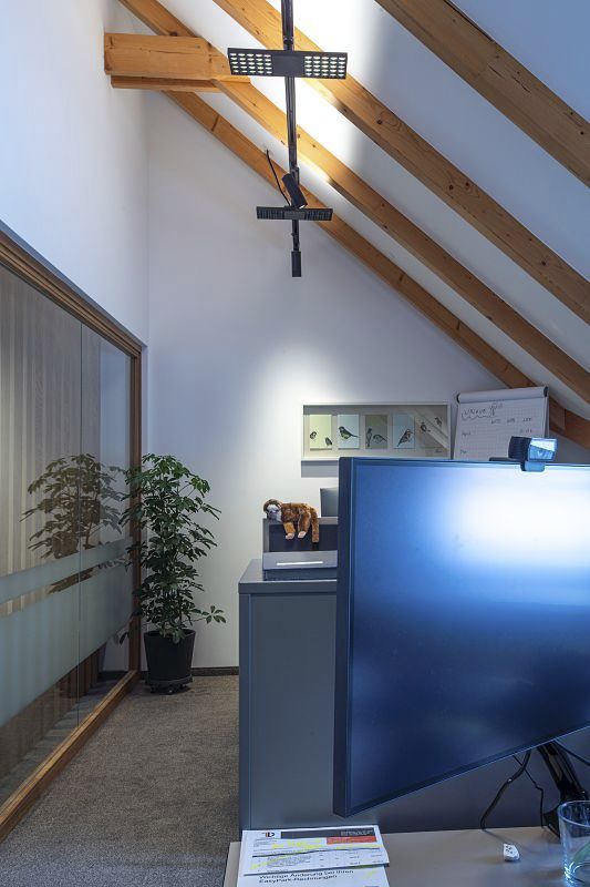 ERCO Jilly downlights for office lighting at WLK Energy GmbH offices.