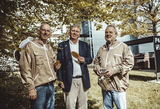 ERCO employees as beekeepers tending beehives, showcasing commitment to environment and sustainability.